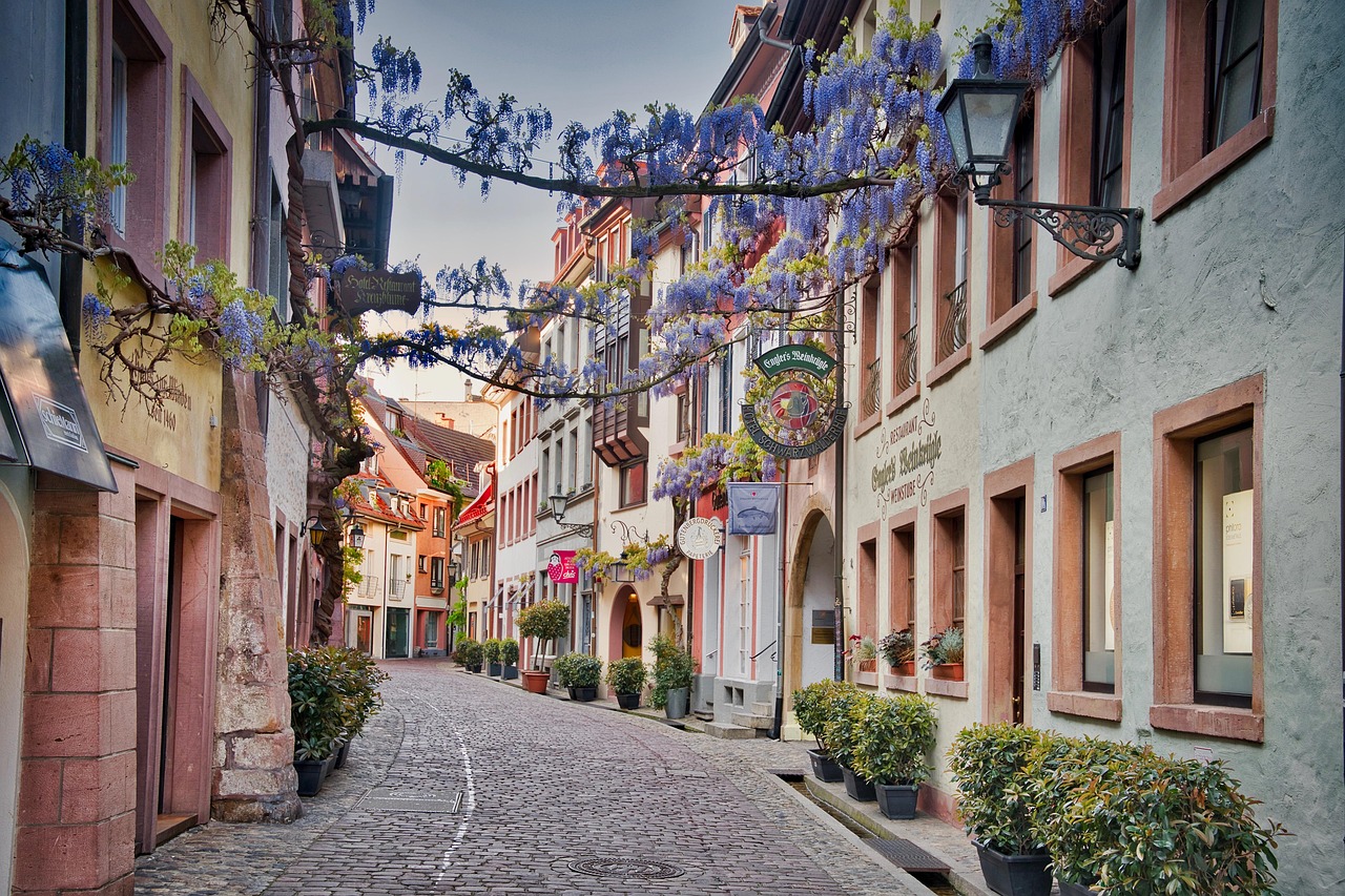 Coaching in Freiburg, Praxis und Umgebung
